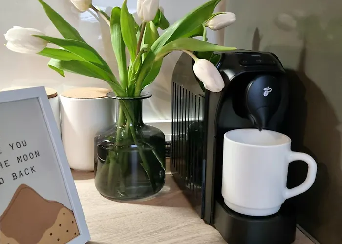 Iulius Town Charm Cozy Apartment